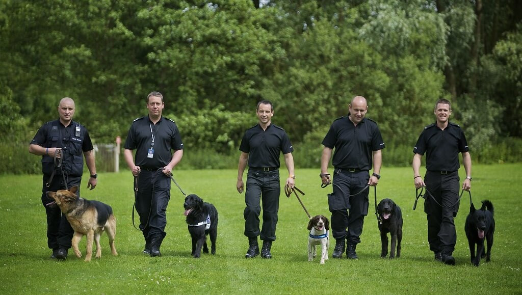 general-purpose-police-dog-unit-uk